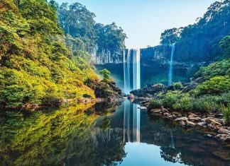 Nên mua loại đặc sản nào trong chuyến du lịch Quảng Ngãi? 