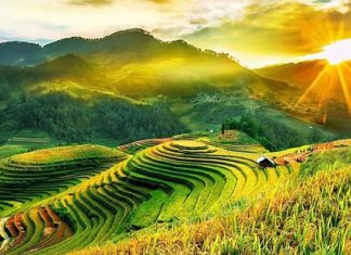 Kinh nghiệm du lịch mùa thu tại miền bắc với các lễ hội vô cùng đặc sắc Kinh nghiệm du lịch mùa thu tại miền bắc với các lễ hội vô cùng đặc sắc