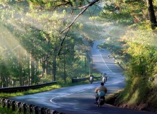 Chia sẻ kinh nghiệm du lịch Đà Lạt chi tiết dành cho người mới đi lần đầu Chia sẻ kinh nghiệm du lịch Đà Lạt chi tiết dành cho người mới đi lần đầu