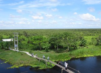 Khám phá những khu du lịch sinh thái ở Rạch Giá Kiên Giang nổi tiếng Khám phá những khu du lịch sinh thái ở Rạch Giá Kiên Giang nổi tiếng